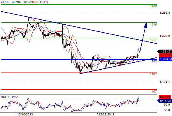 Gold CME2013123012858